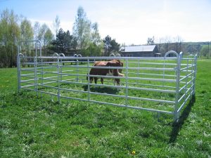 cattle-panel