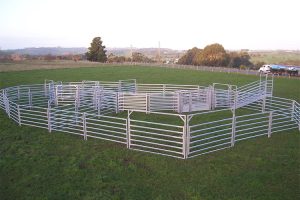 cattle-panel