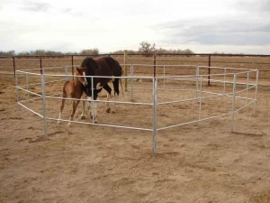 Cattle Panel Fence