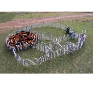 Cattle Panels