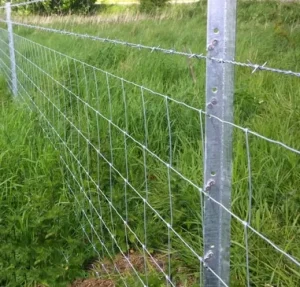 Farm Fencing