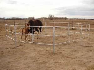 Galvanized Cattle Panel 2