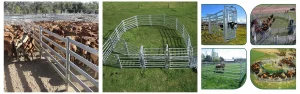 Galvanized Cattle Panel 3