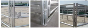 Galvanized Cattle Panel 4