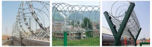 Razor Wire2