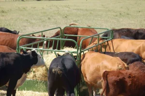 Farm Fencing3