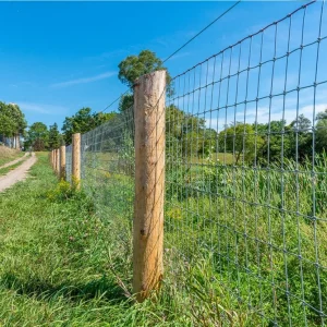 Farm Fencing4