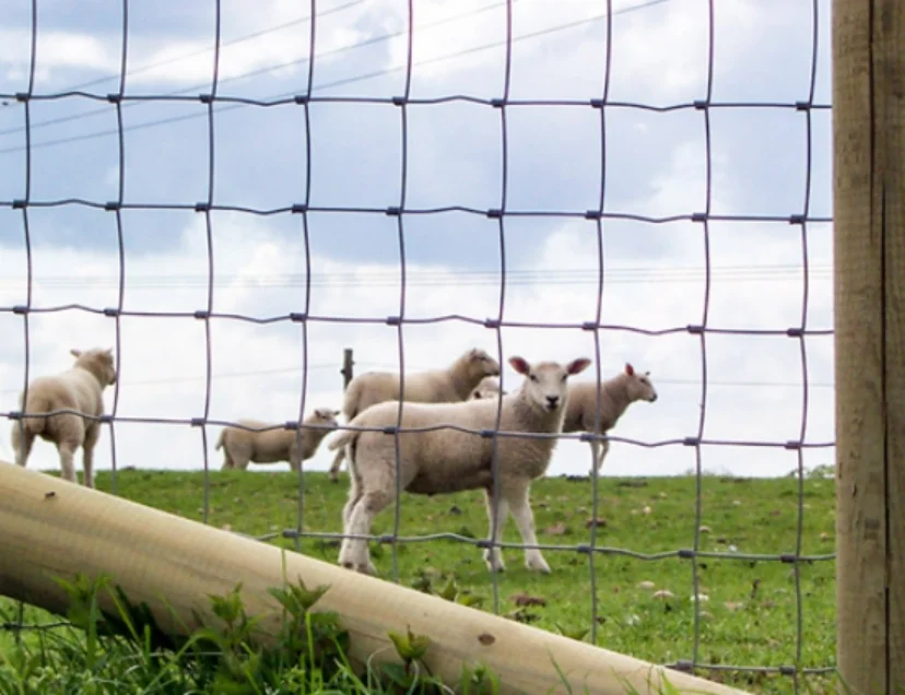 image2-field fences