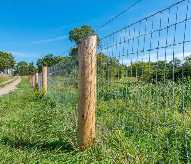 Field Fence