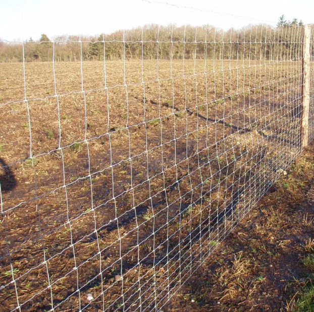 Field Fence
