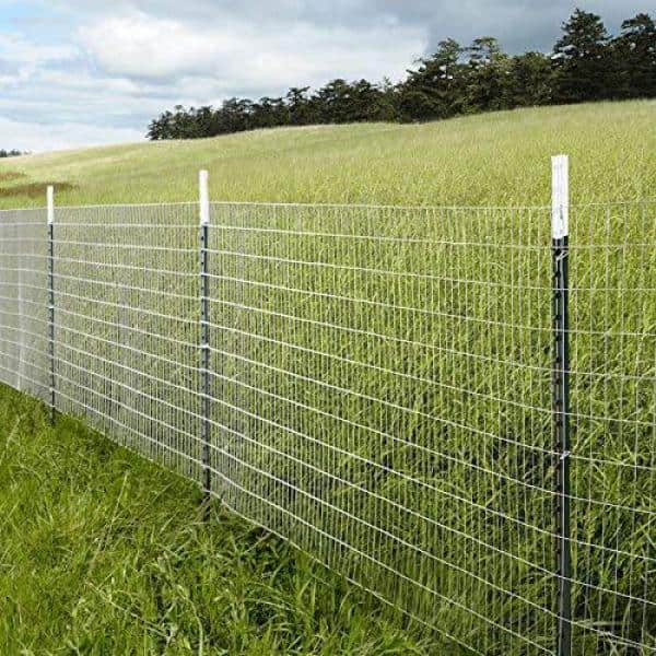 welded wire mesh-121