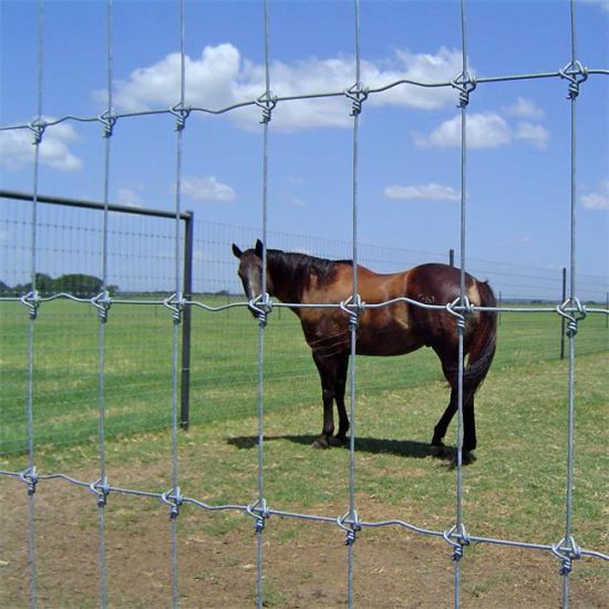 2-4-50m-Galvanized-Fixed-Knot-Steel-Wire-Mesh-Cattle-Fence-Farm-Fence-Netting