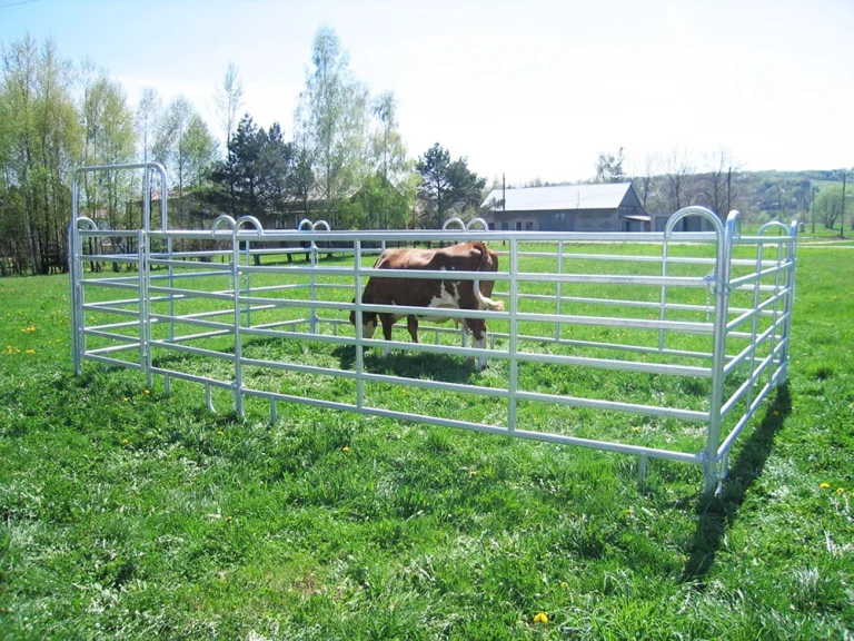 Cattle Panels