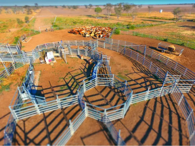 How to Build a Cattle Corral Panel and Mistakes to Avoid