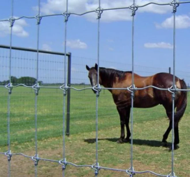 Which Fencing Is Best For Farm
