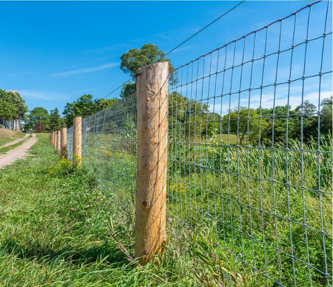 The Role of Nylon Coated Field Fences in Preventing Soil Erosion