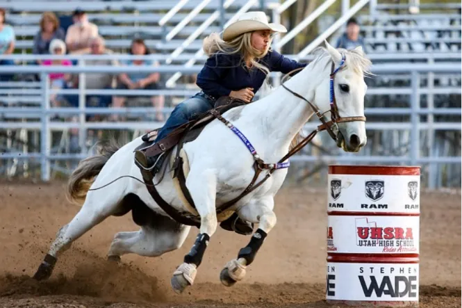 Noise Reduction and Safety Using Cattle Panels in Horse Training